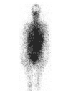 bexar_body.gif (1599 bytes)