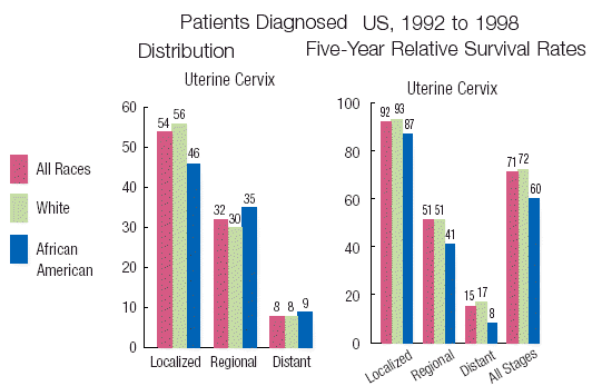 cervix_survival_SEER.gif (16160 bytes)