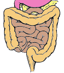 colorectal.gif (4796 bytes)