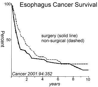 esophagus_bidoli.gif (8949 bytes)