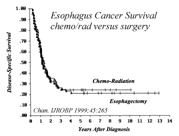 esophagus_chan.gif (10395 bytes)