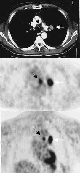 pet.jpg (6597 bytes)