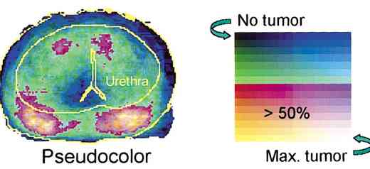 map_total.jpg (13253 bytes)