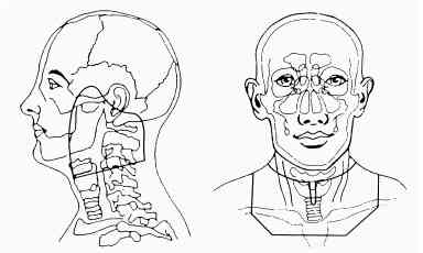 occult_port.jpg (10303 bytes)