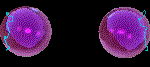 perl.gif (32061 bytes)