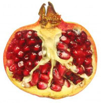 pomegranate.jpg (38366 bytes)