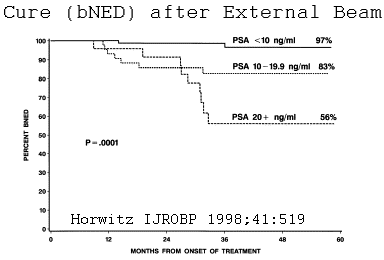 prostate_horwitz.gif (6977 bytes)