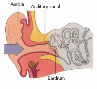 small_outer.jpg (9938 bytes)