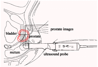 tech.gif (14640 bytes)